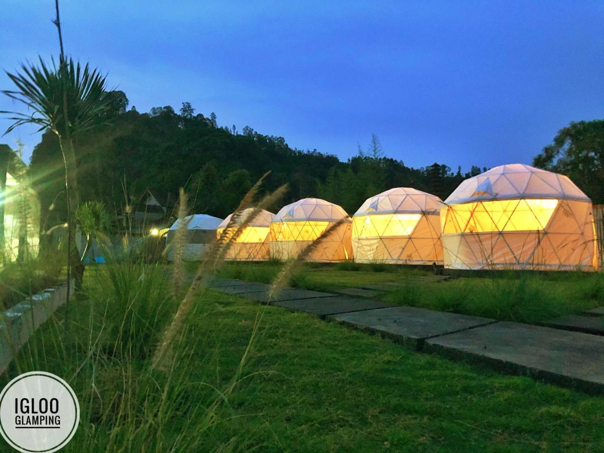 Igloo Glamping Bali Otel Kintamani Dış mekan fotoğraf