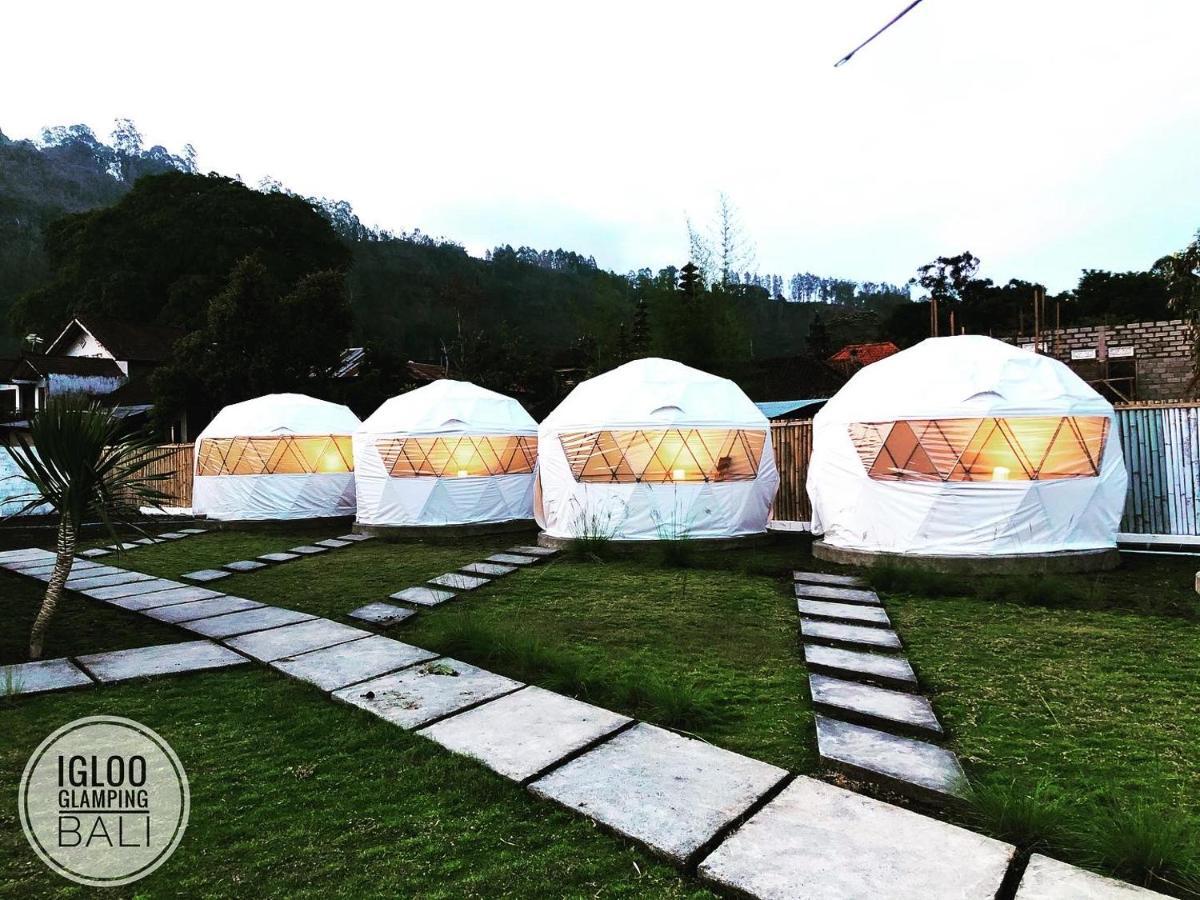 Igloo Glamping Bali Otel Kintamani Dış mekan fotoğraf