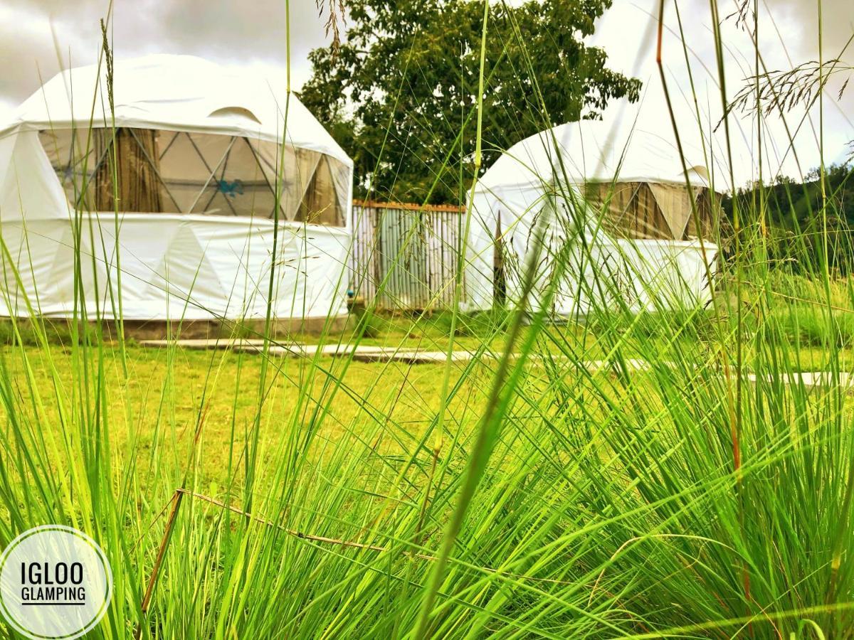 Igloo Glamping Bali Otel Kintamani Dış mekan fotoğraf