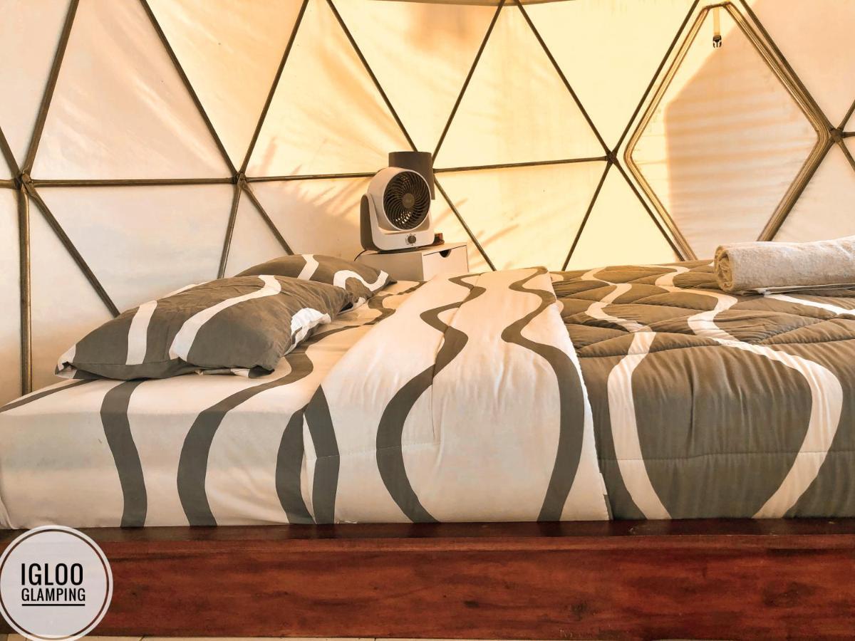 Igloo Glamping Bali Otel Kintamani Dış mekan fotoğraf